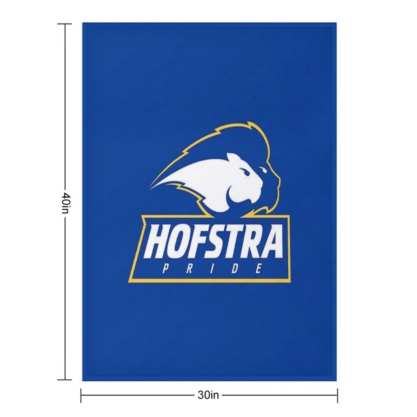 The Pride Hofstra All-season Throw Blanket