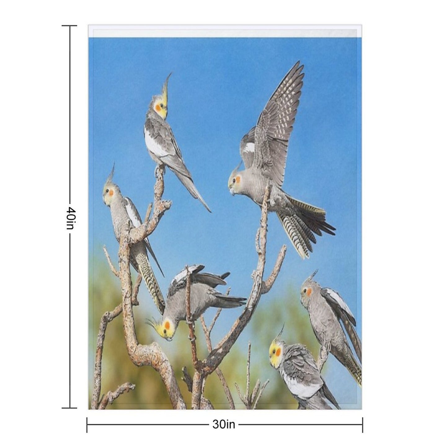 Rise And Shine (Cockatiels) Shrink-resistant Throw Blanket