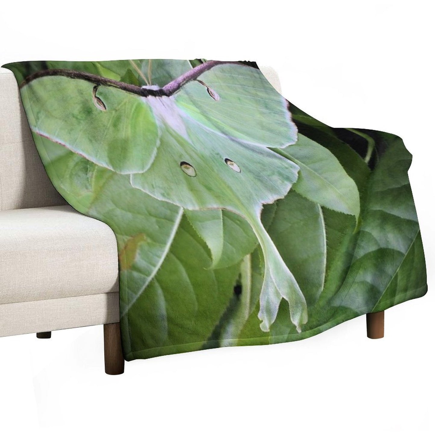 Luna Moth Sustainable Throw Blanket