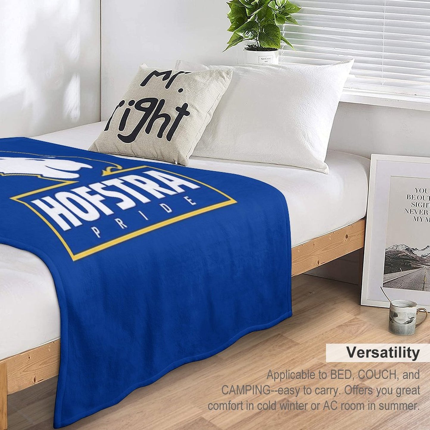 The Pride Hofstra All-season Throw Blanket