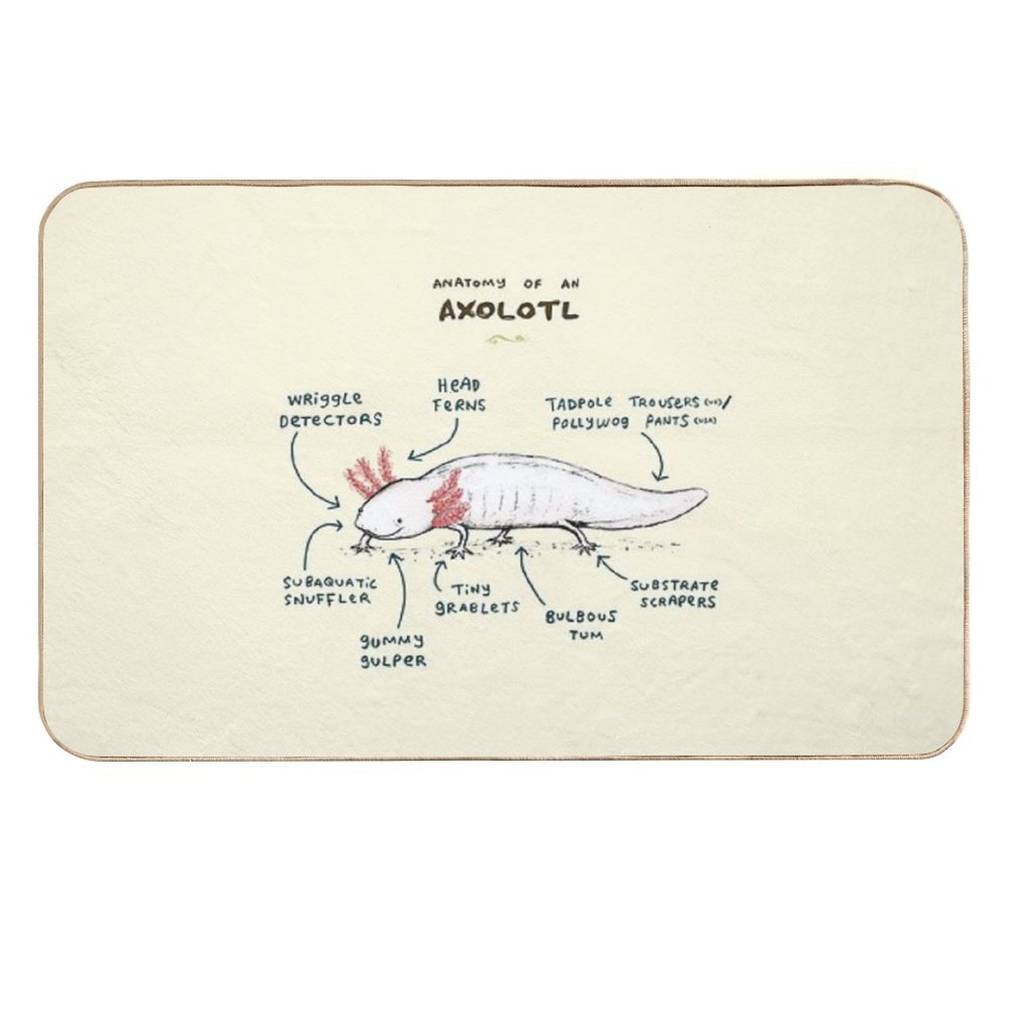 Anatomy of An Axolotl Absorbent Bath Mat
