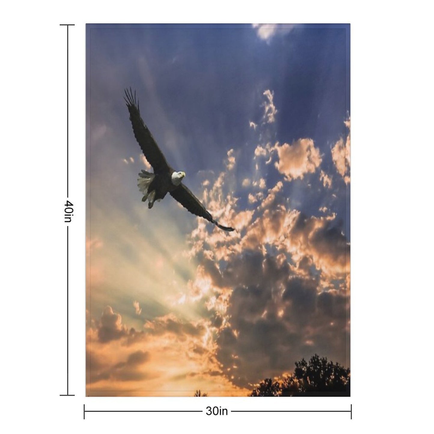 High Soaring Bald Eagle Comfort Throw Blanket