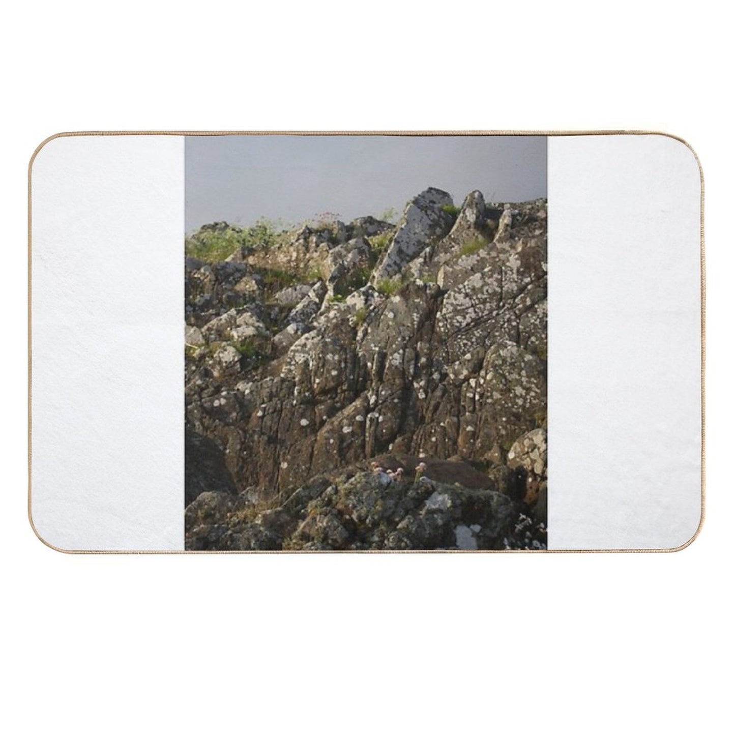 Growing on Stone Dirt-Trapping Bath Mat