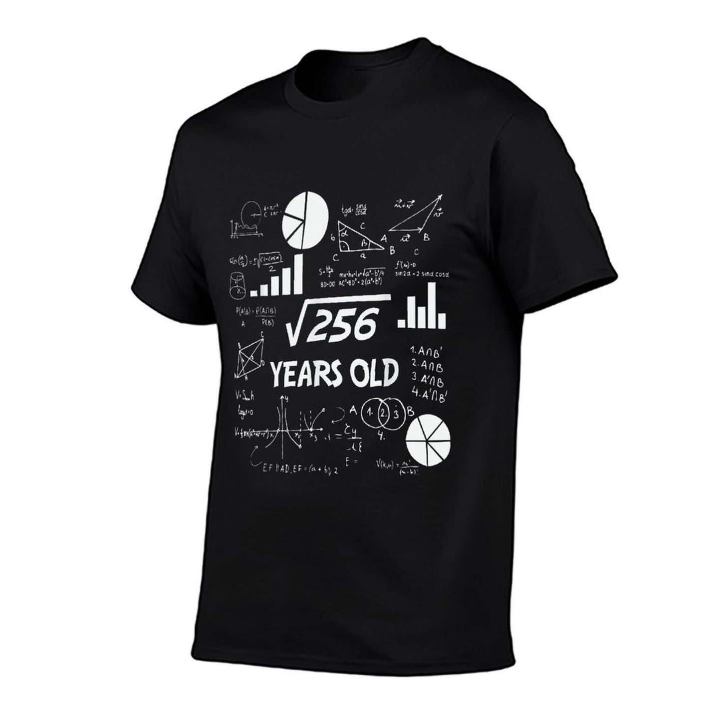 16th Birthday Square Root of 256 Math 16 Years Old Birthday Rolled Sleeves T-Shirt