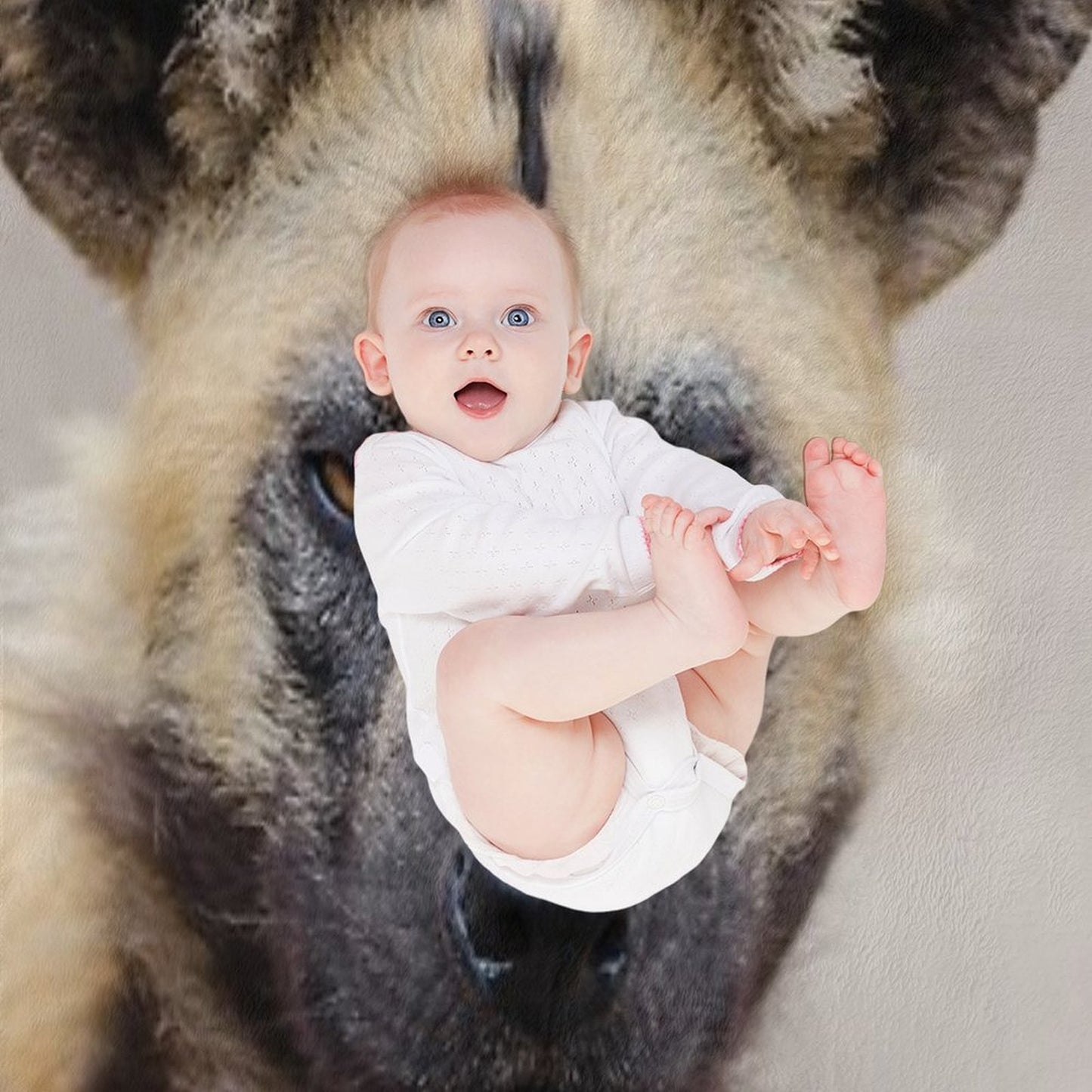 African Wild Dog All-season Throw Blanket