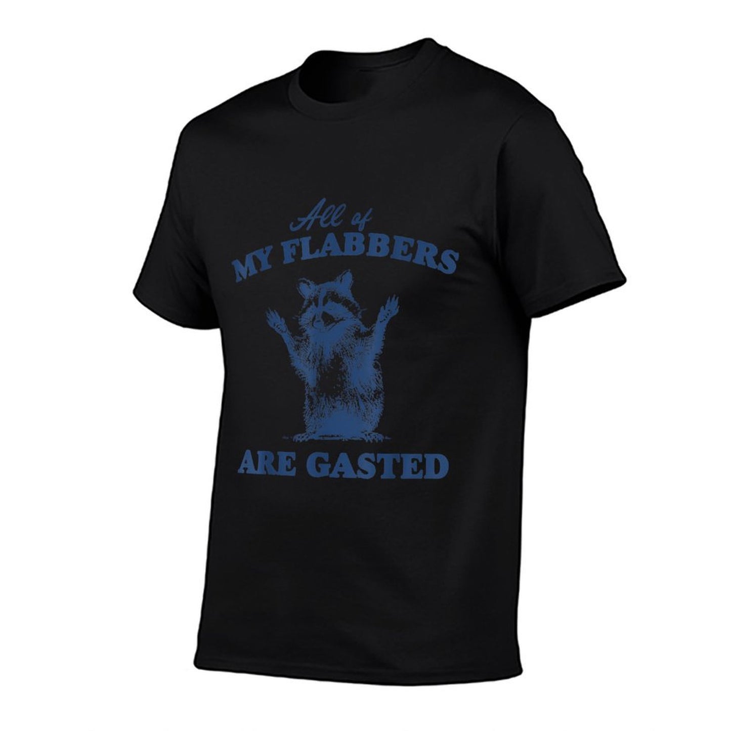 All Of My Flabbers Are Gasted Vintage Raccoon Meme Cotton T-Shirt