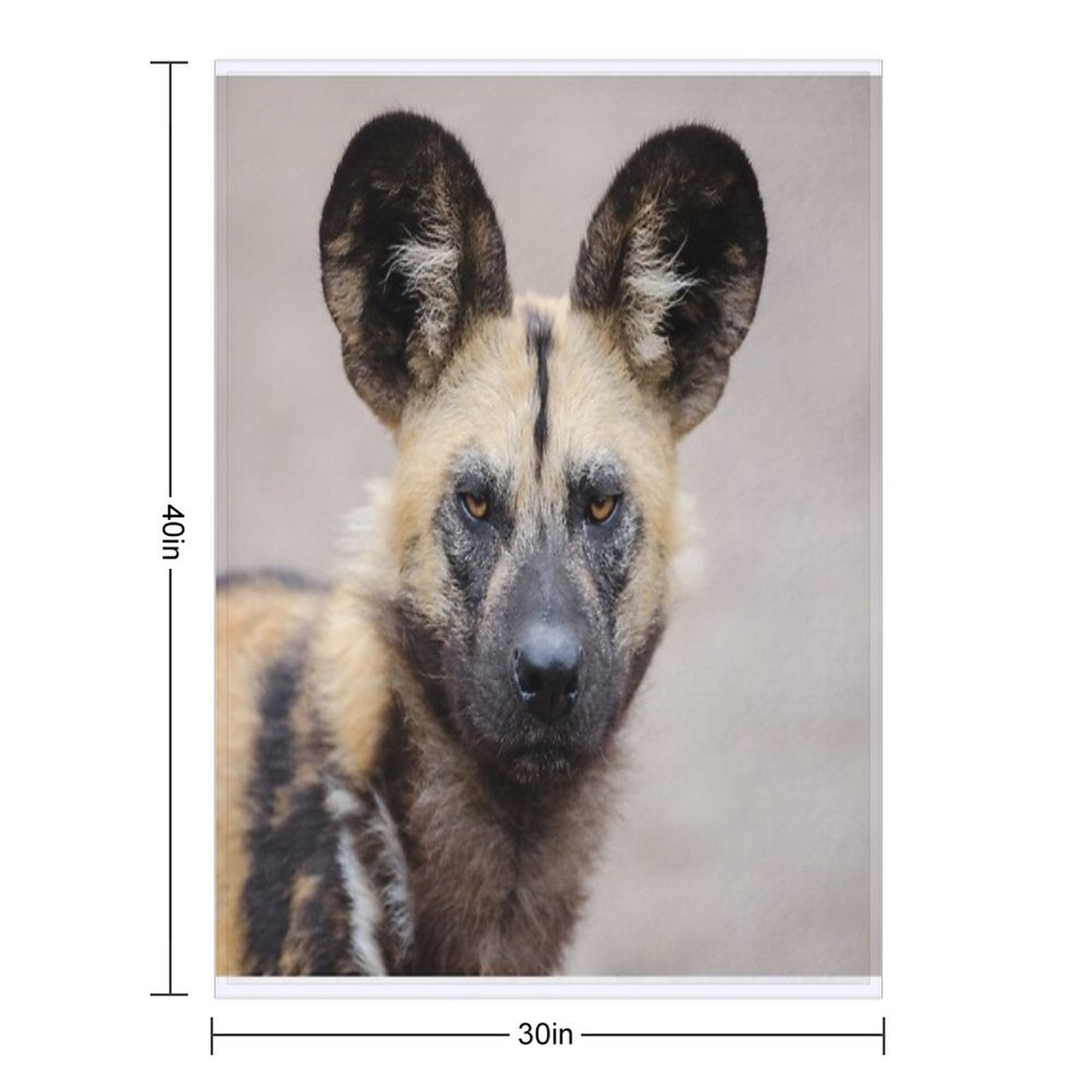 African Wild Dog All-season Throw Blanket