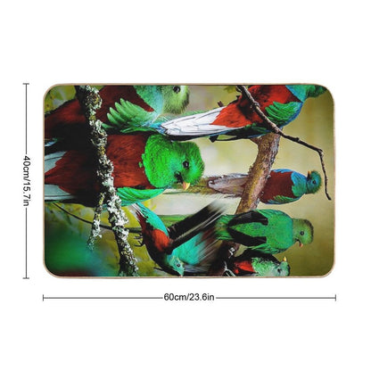 Quetzal  Eco-Friendly Bath Mat
