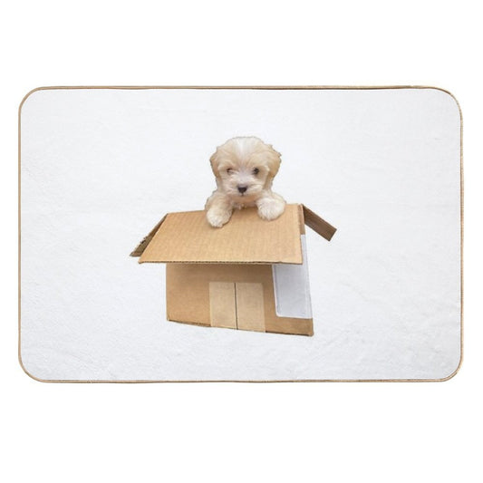 Cute Maltipoo Puppy in A Box  Easy Maintenance Bath Mat