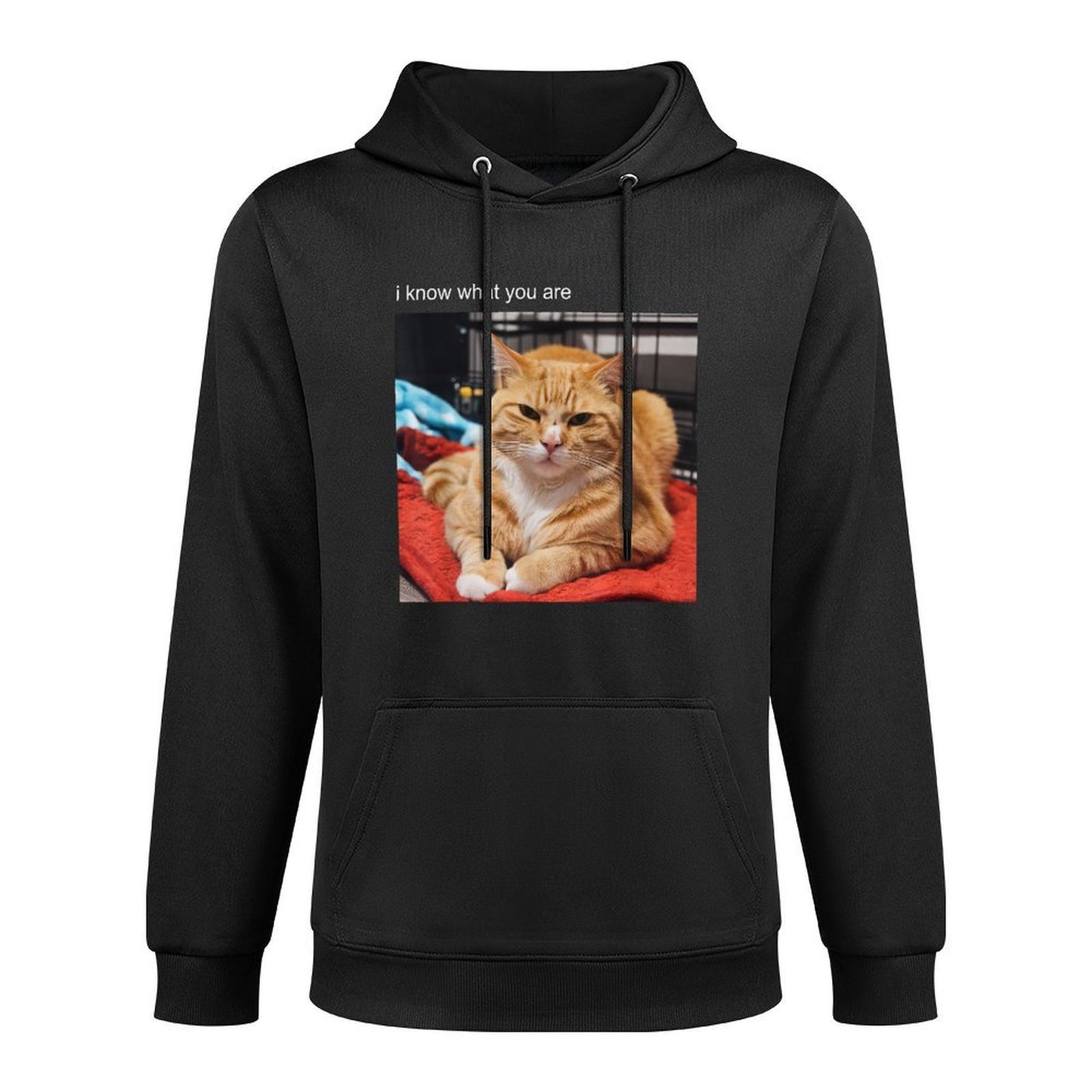 Cat Meme Tshirt Silly Cat Funny Kitty Meow Hiss Kitten for Men Women Girls Kids Versatile Streetwear Hoodie