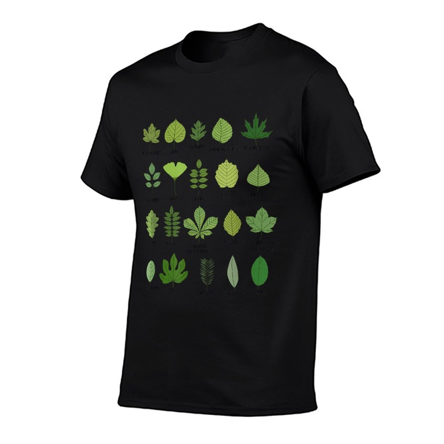 Leaf Identification Chart, Common Leaves  Quick-drying T-Shirt
