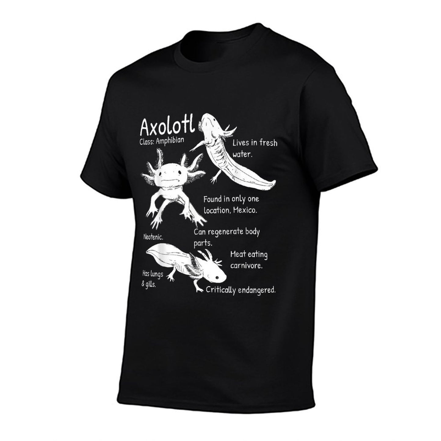 Axolotl Facts Species Types Endangered Animals Illustration  Quick-drying T-Shirt