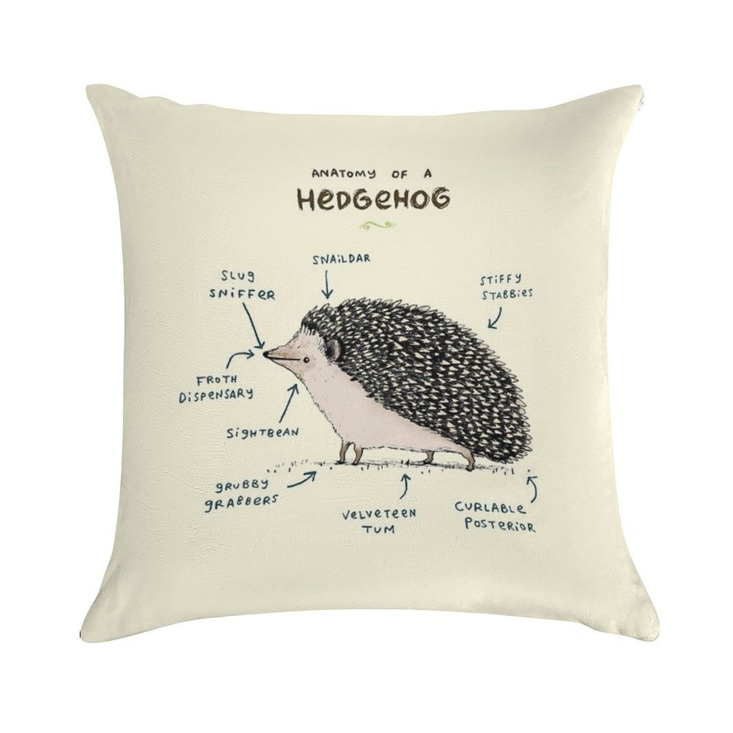 Anatomy of A Hedgehog Soft Home Decor Throw Pillow
