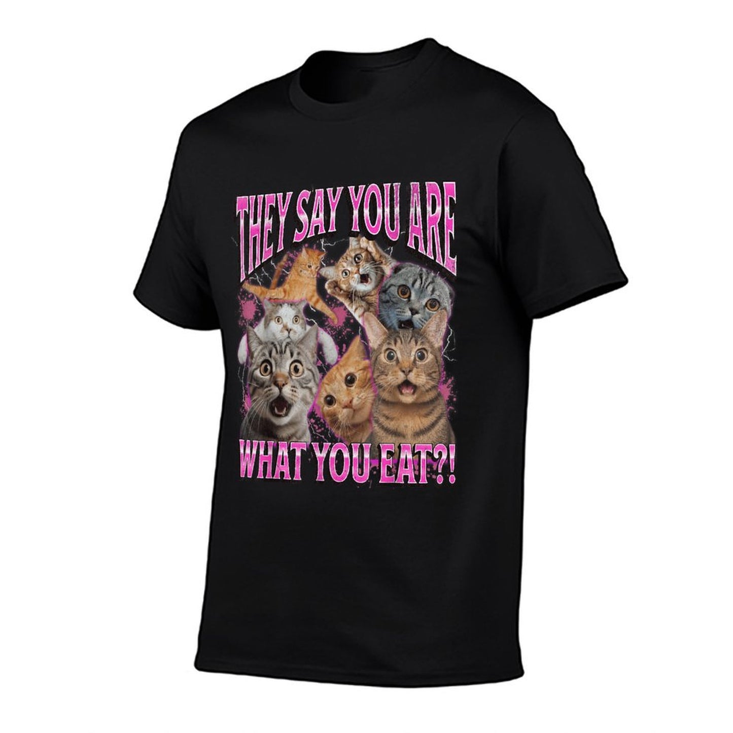 You Are What You Eat Funny Lesbian Cat Meme Bootleg Graphic  Vintage-inspired T-Shirt