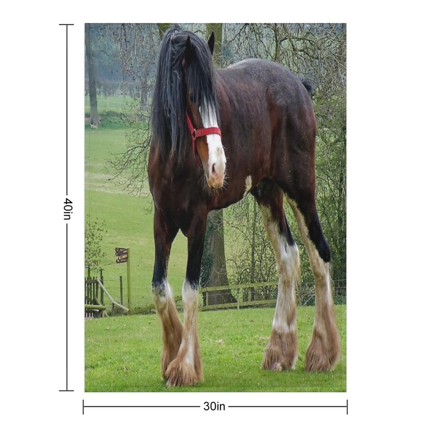 Shire Horse Premium Throw Blanket
