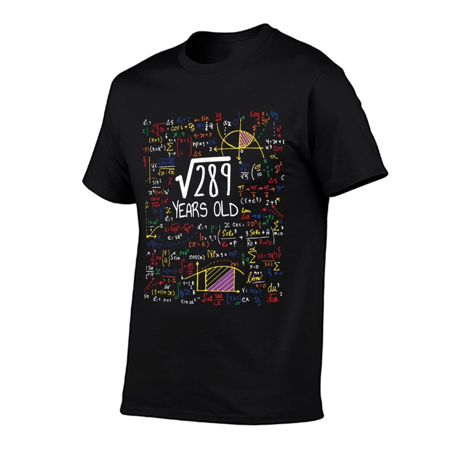 17th Birthday Square Root Of 289 17 Years Old Math Lover  Heathered Texture T-Shirt