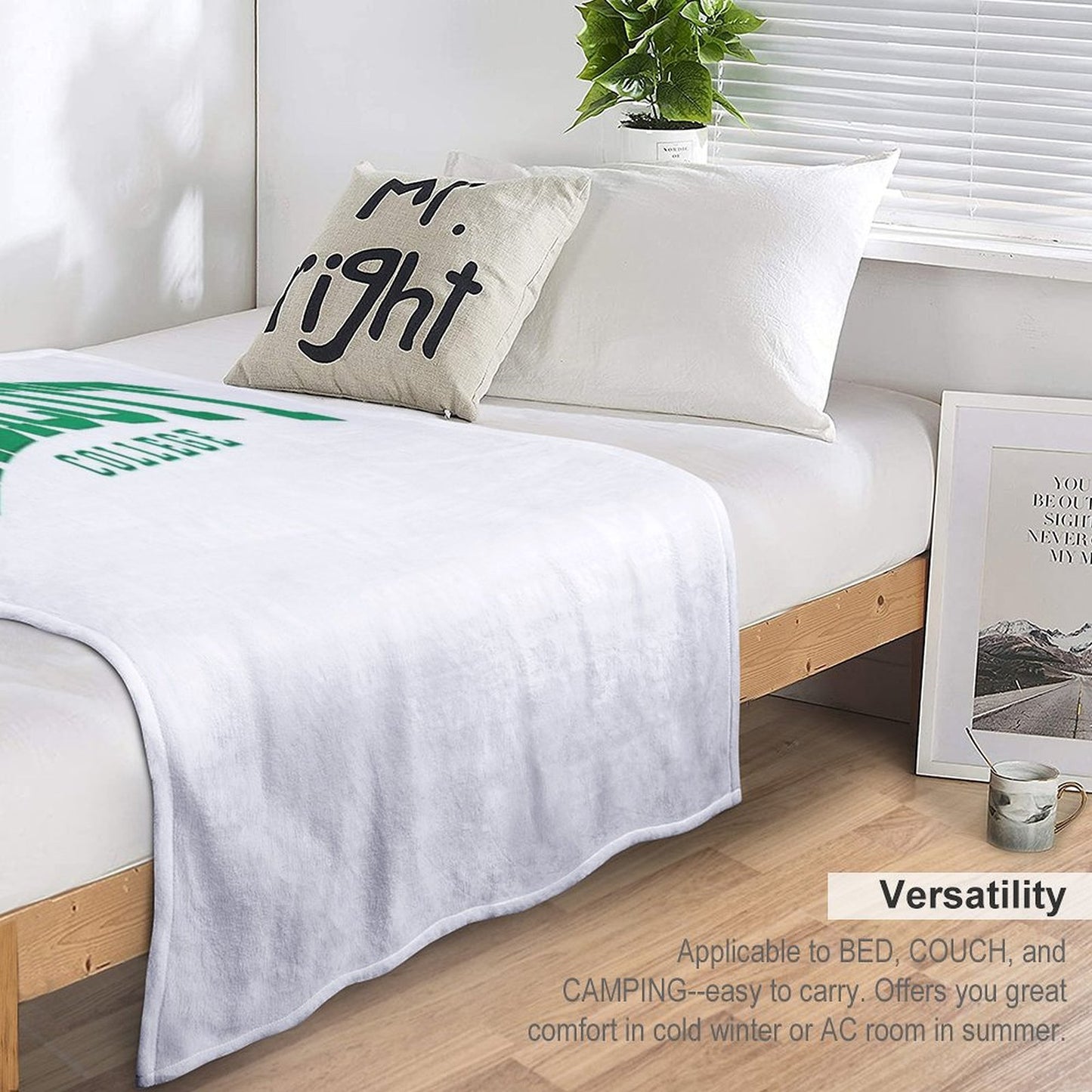 Endicott College Easy Care Throw Blanket