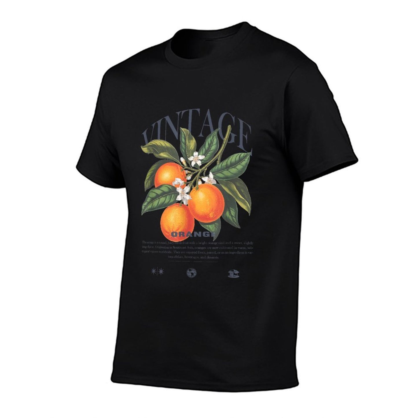 Orange Fruit Vintage  Heathered Texture T-Shirt