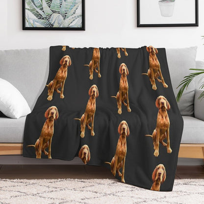 Wirehaired Vizsla - Stunning Dog! Wrinkle-free Throw Blanket