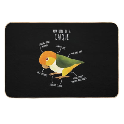 Anatomy of A White-Bellied Caique  Repositionable Bath Mat