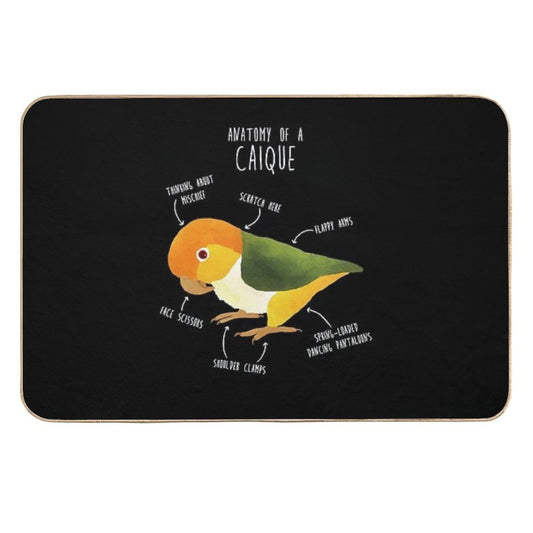 Anatomy of A White-Bellied Caique  Repositionable Bath Mat