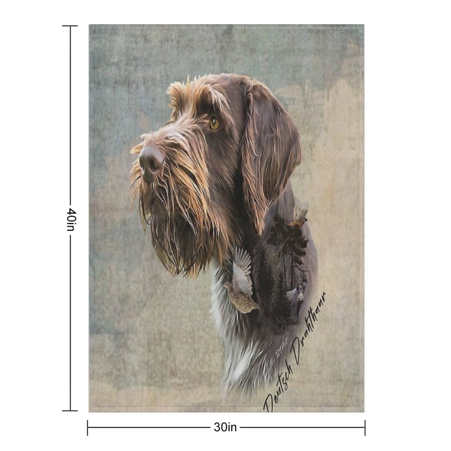 Wirehaired Pointing Griffon Comfort Throw Blanket