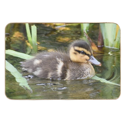 Duckling in The Pond  High-Traffic Bath Mat