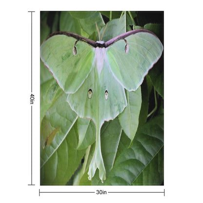 Luna Moth Sustainable Throw Blanket