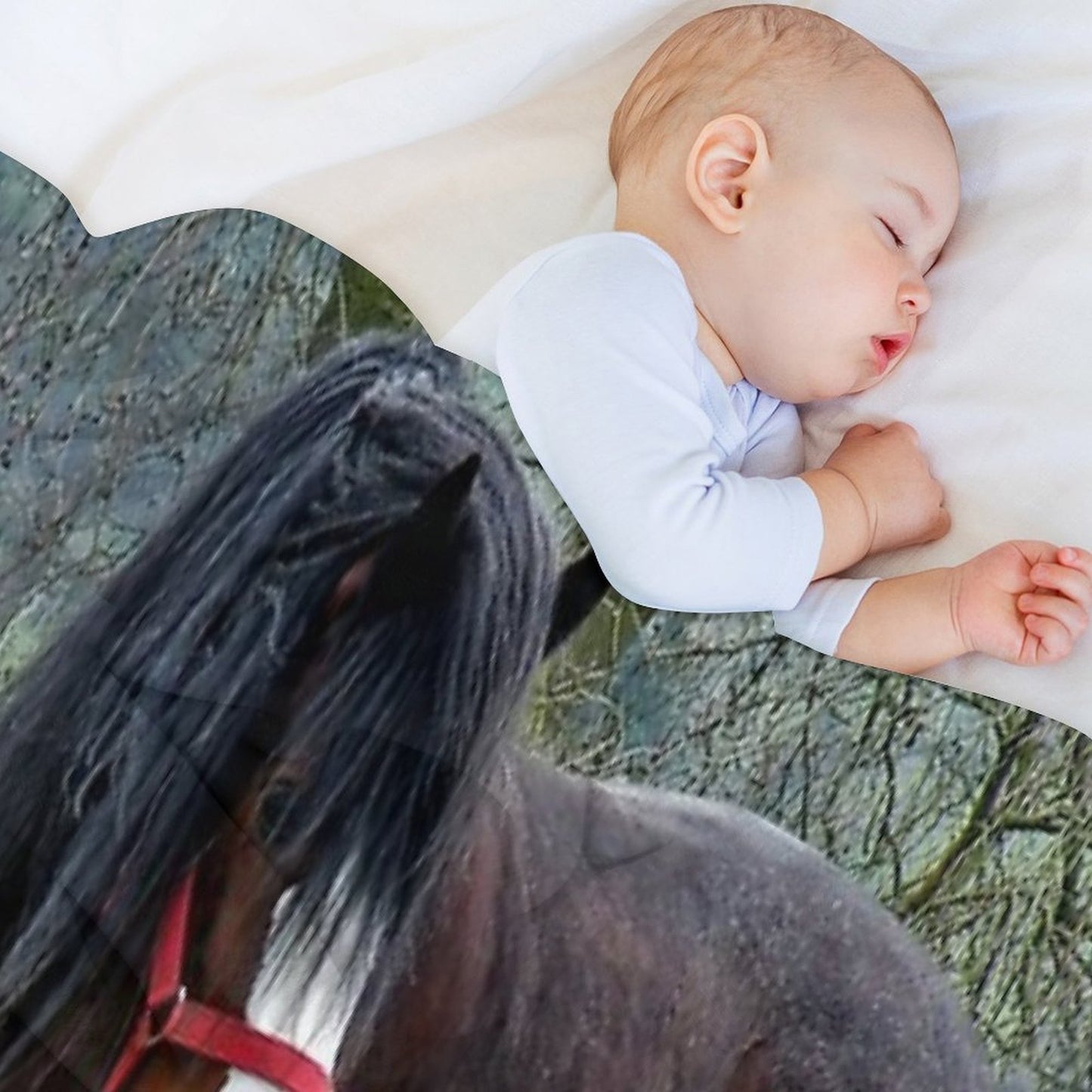 Shire Horse Premium Throw Blanket