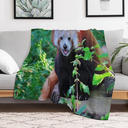 Cute Red Panda Sustainable Throw Blanket