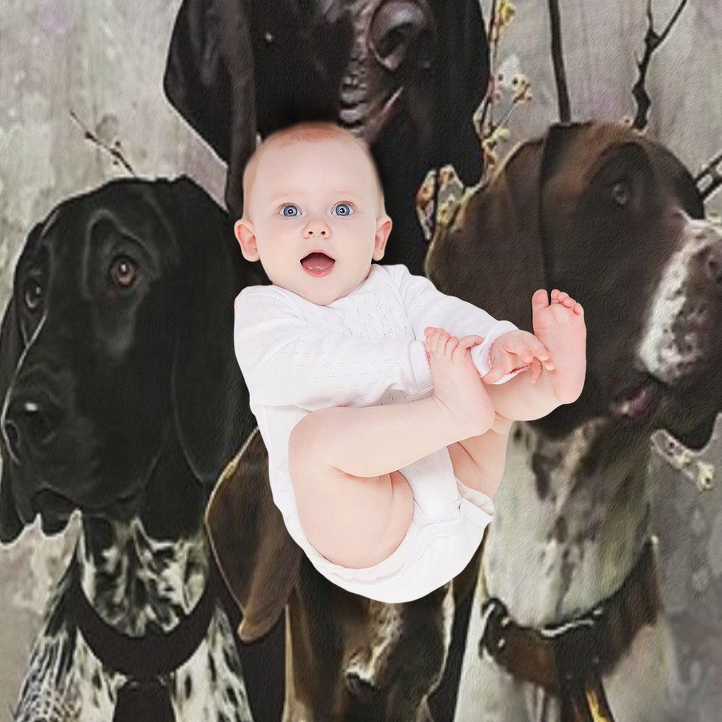 4 German Shorthaired Pointer Colors Sustainable Throw Blanket