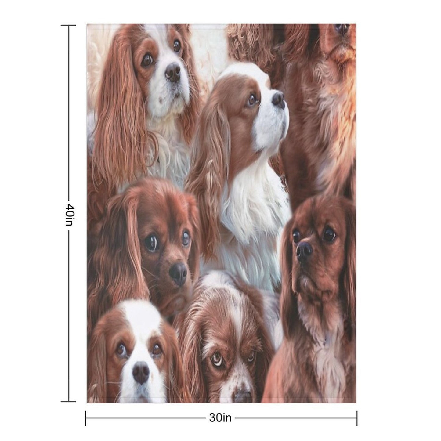 Cavalier King Charles All-season Throw Blanket
