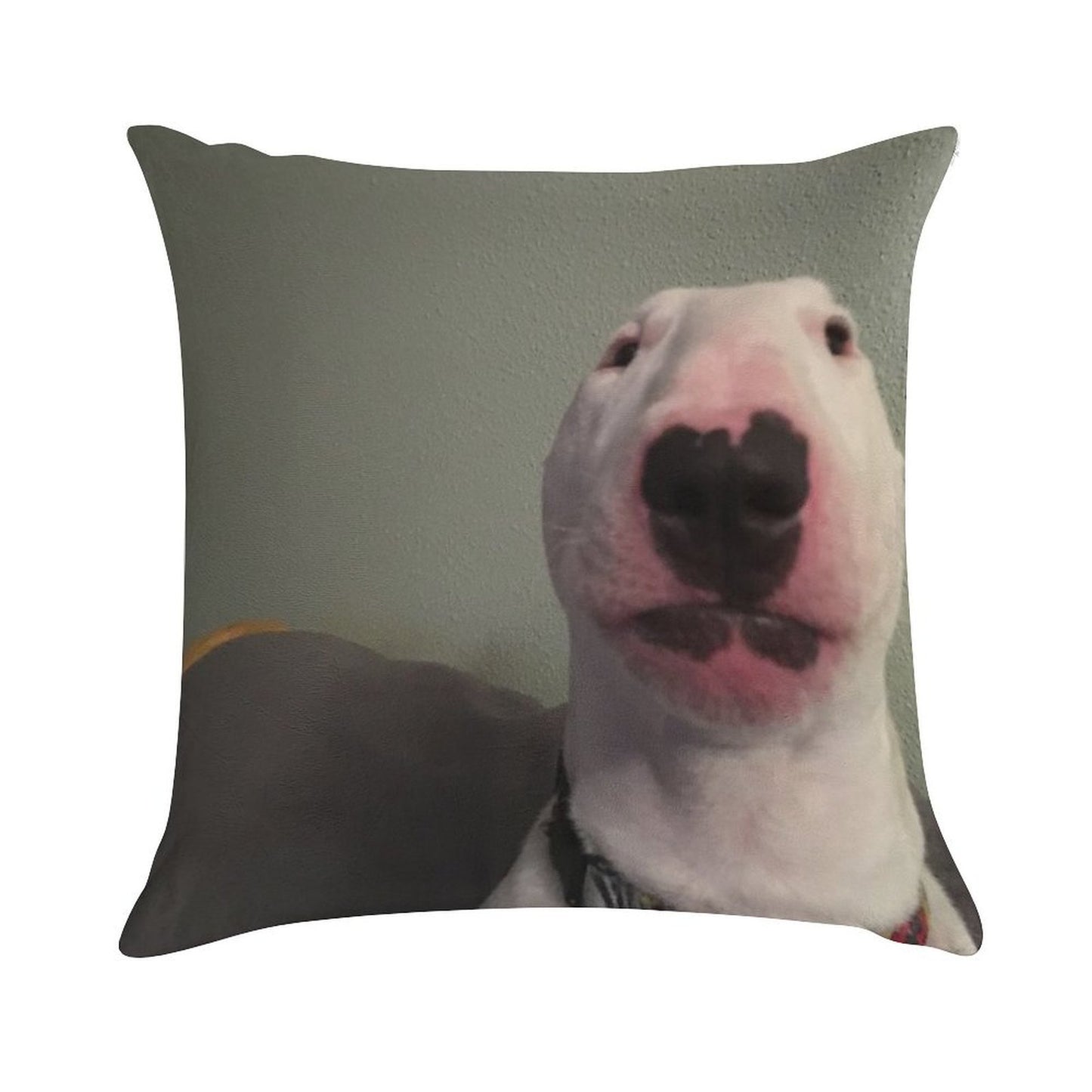 @PupperNelson Walter Original Soft Hidden Zipper Throw Pillow