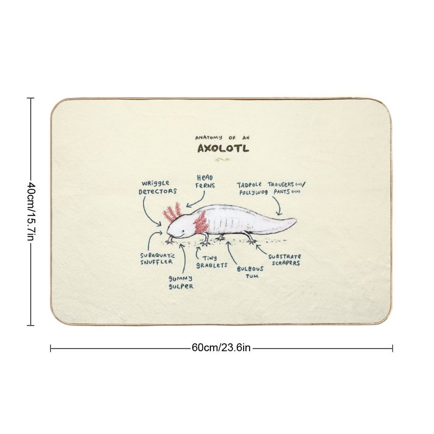 Anatomy of An Axolotl  Absorbent Bath Mat