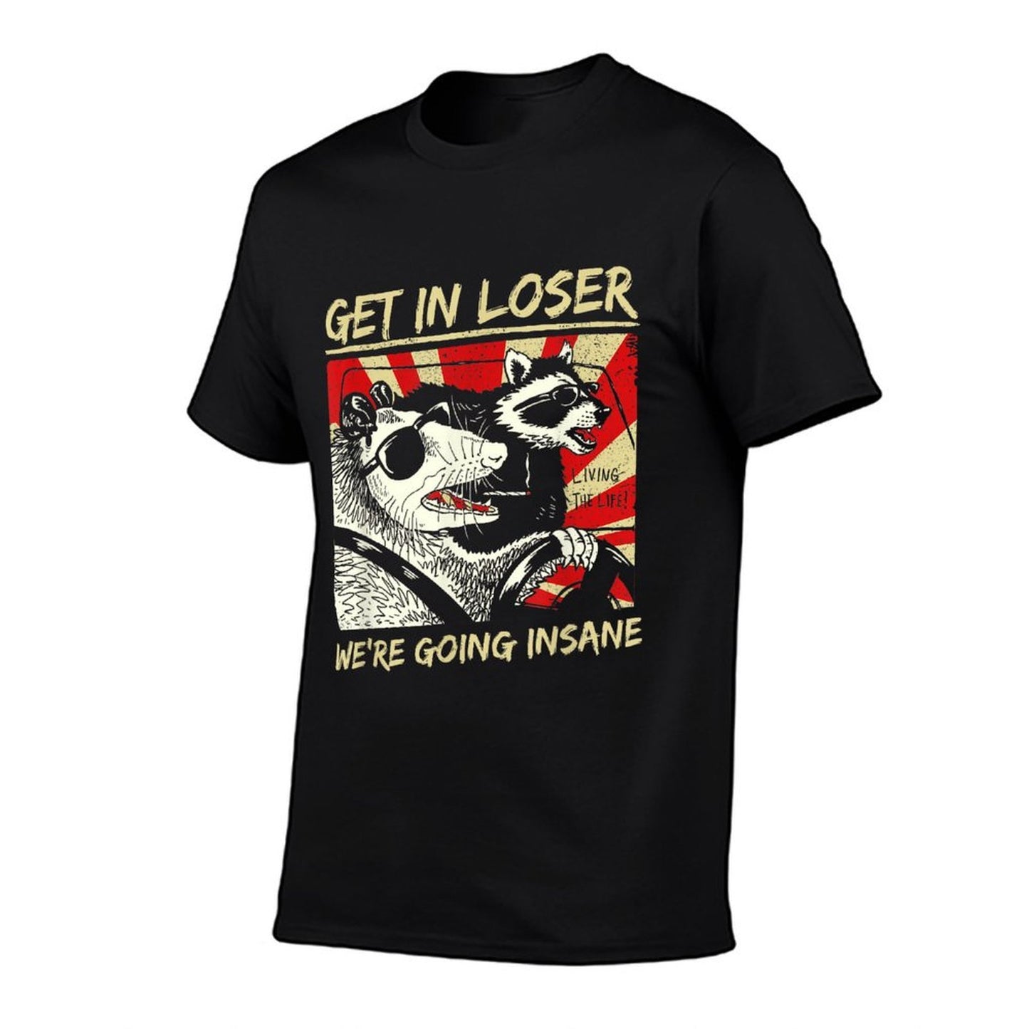 Get In Loser We’re Going Insane Funny Raccoon Opossum Meme  Oversized Silhouette T-Shirt