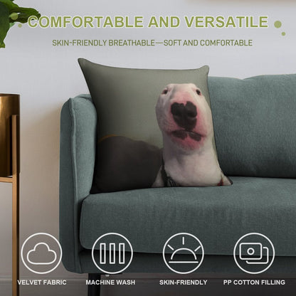 @PupperNelson Walter Original Soft Hidden Zipper Throw Pillow