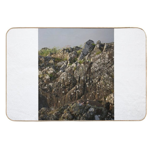Growing on Stone  Dirt-Trapping Bath Mat