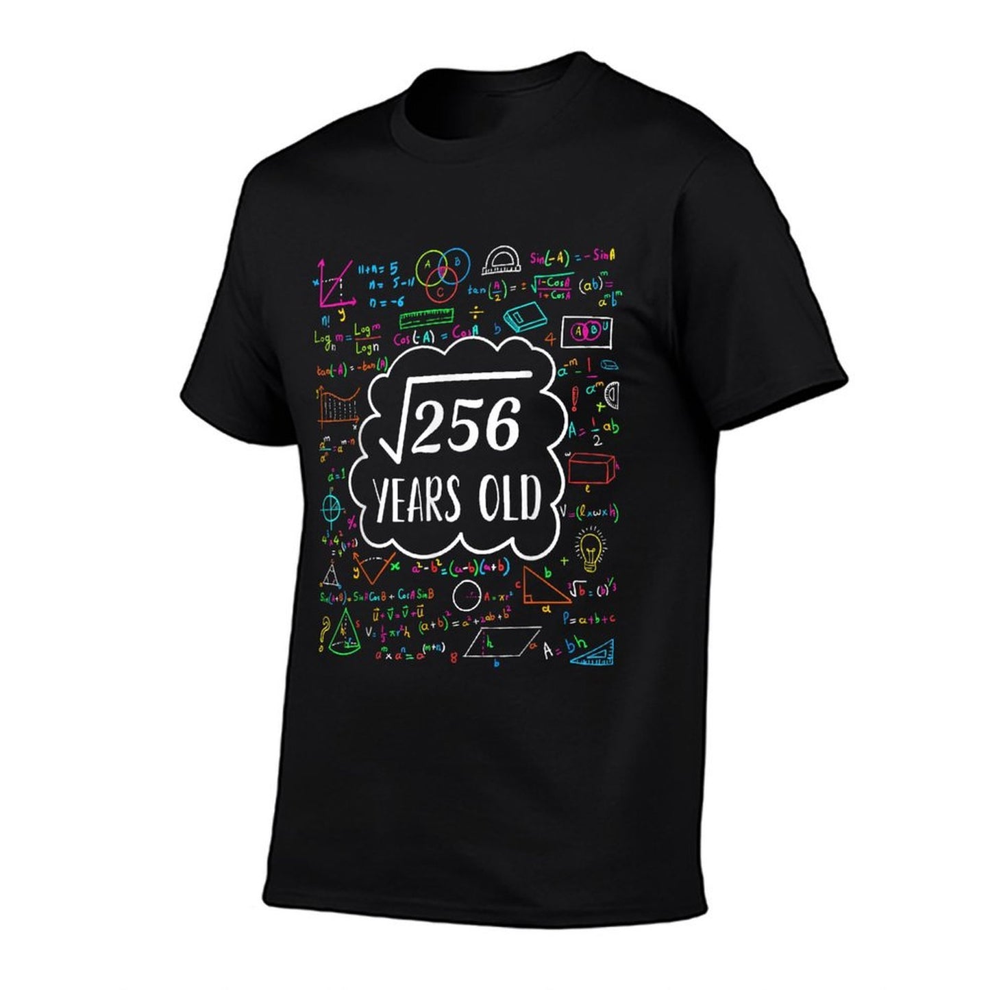 Square Root of 256 16th Birthday for 16 Years Old  Rolled Sleeves T-Shirt