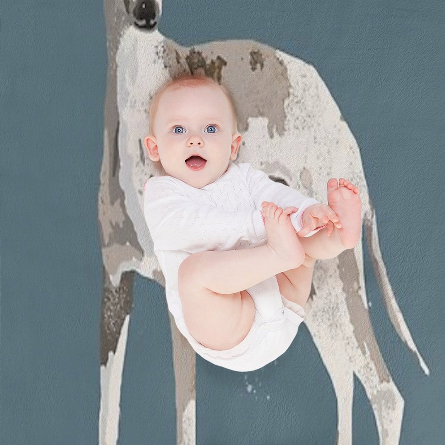 Whippet Shrink-resistant Throw Blanket