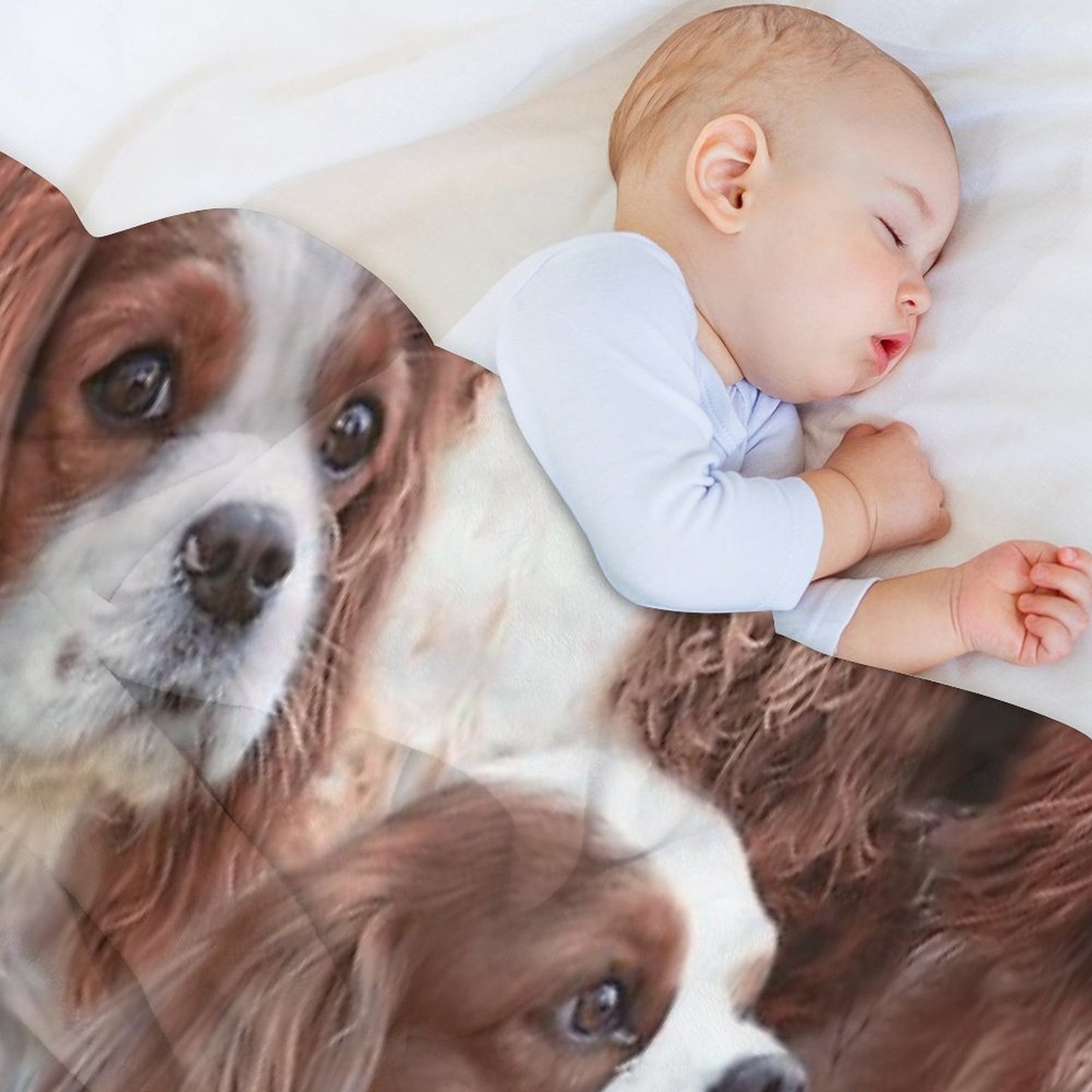 Cavalier King Charles All-season Throw Blanket