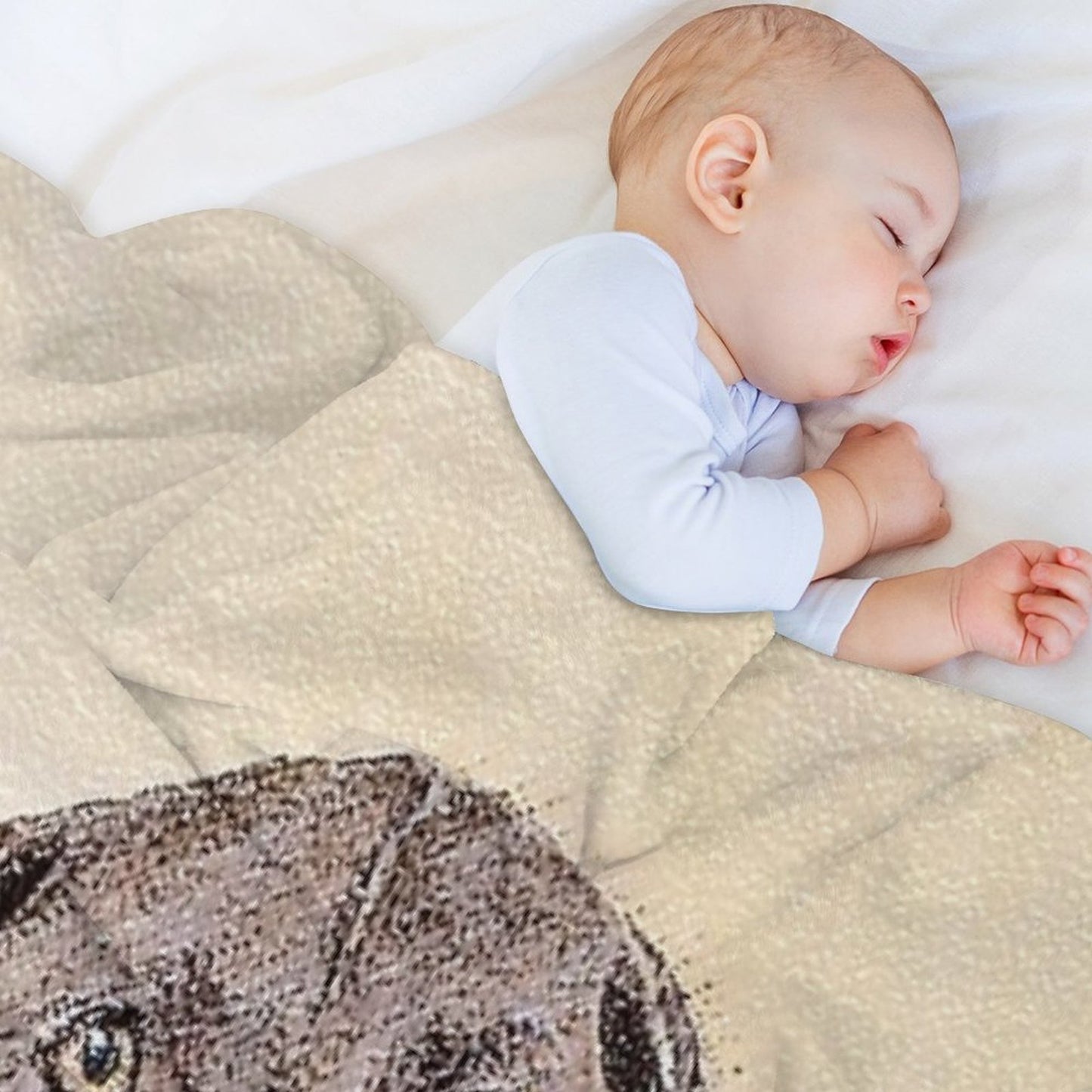 German Shorthaired Pointer Wrinkle-free Throw Blanket