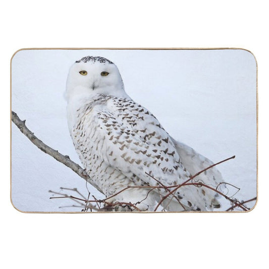 Snowy White Goddess  Dirt-Trapping Bath Mat