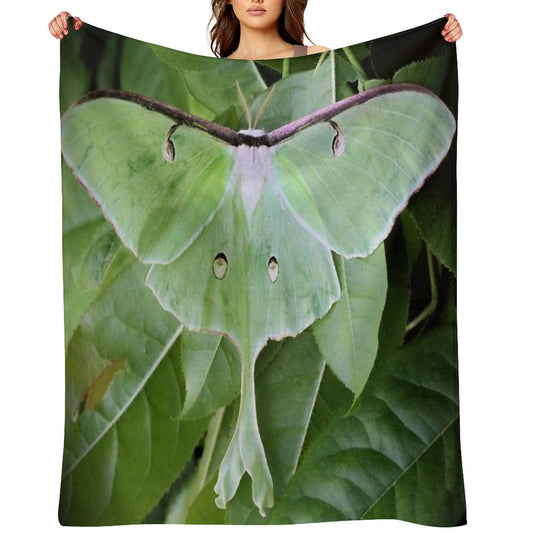 Luna Moth Sustainable Throw Blanket