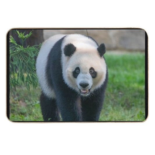 Giant Panda Xiao Qi Ji at The National Zoo  Slip-Resistant Bath Mat