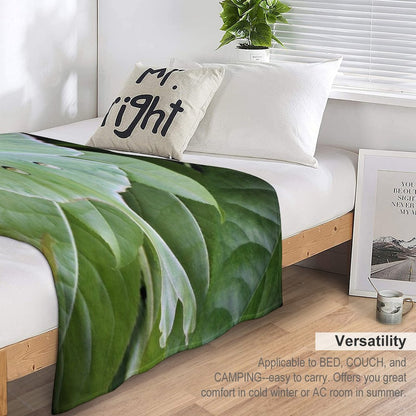 Luna Moth Sustainable Throw Blanket