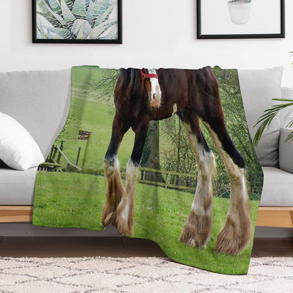 Shire Horse Premium Throw Blanket