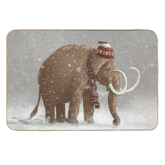 The Ice Age Sucked  Easy Maintenance Bath Mat