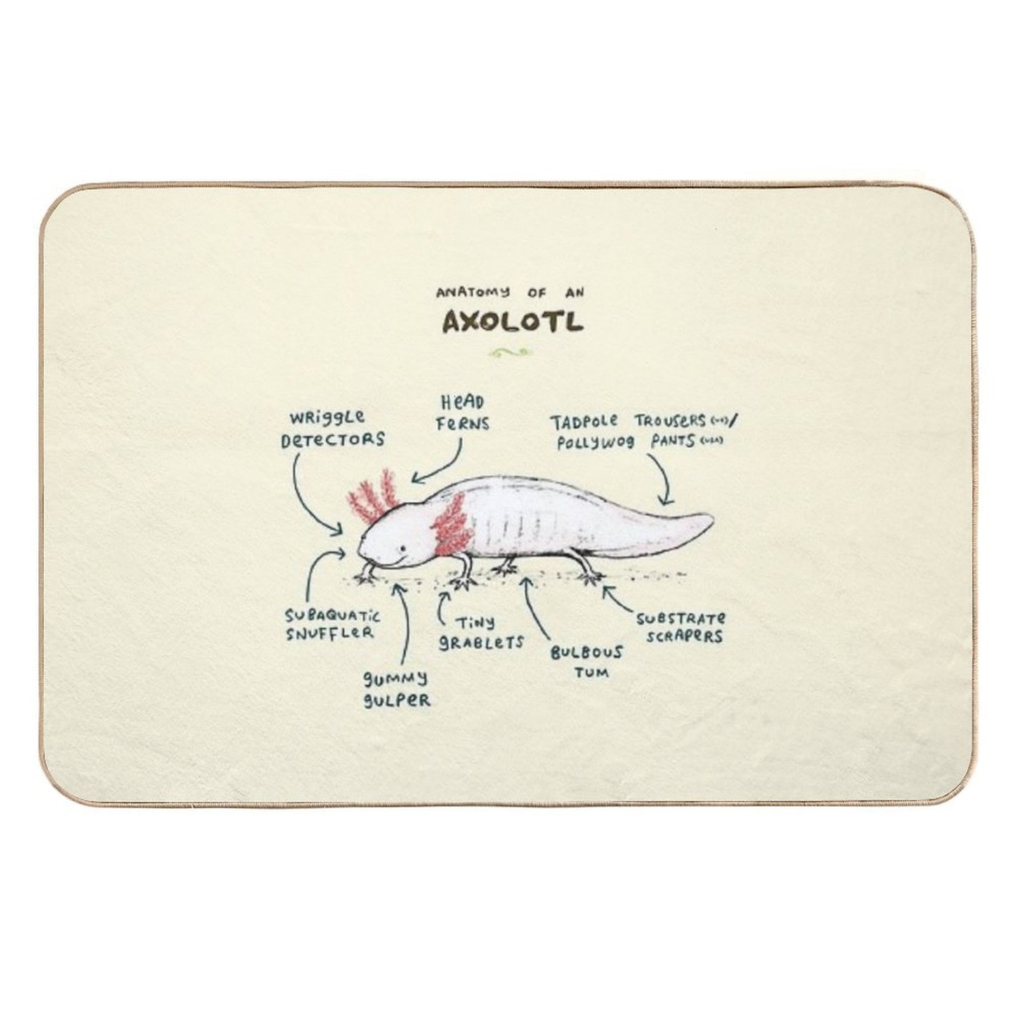 Anatomy of An Axolotl  Absorbent Bath Mat