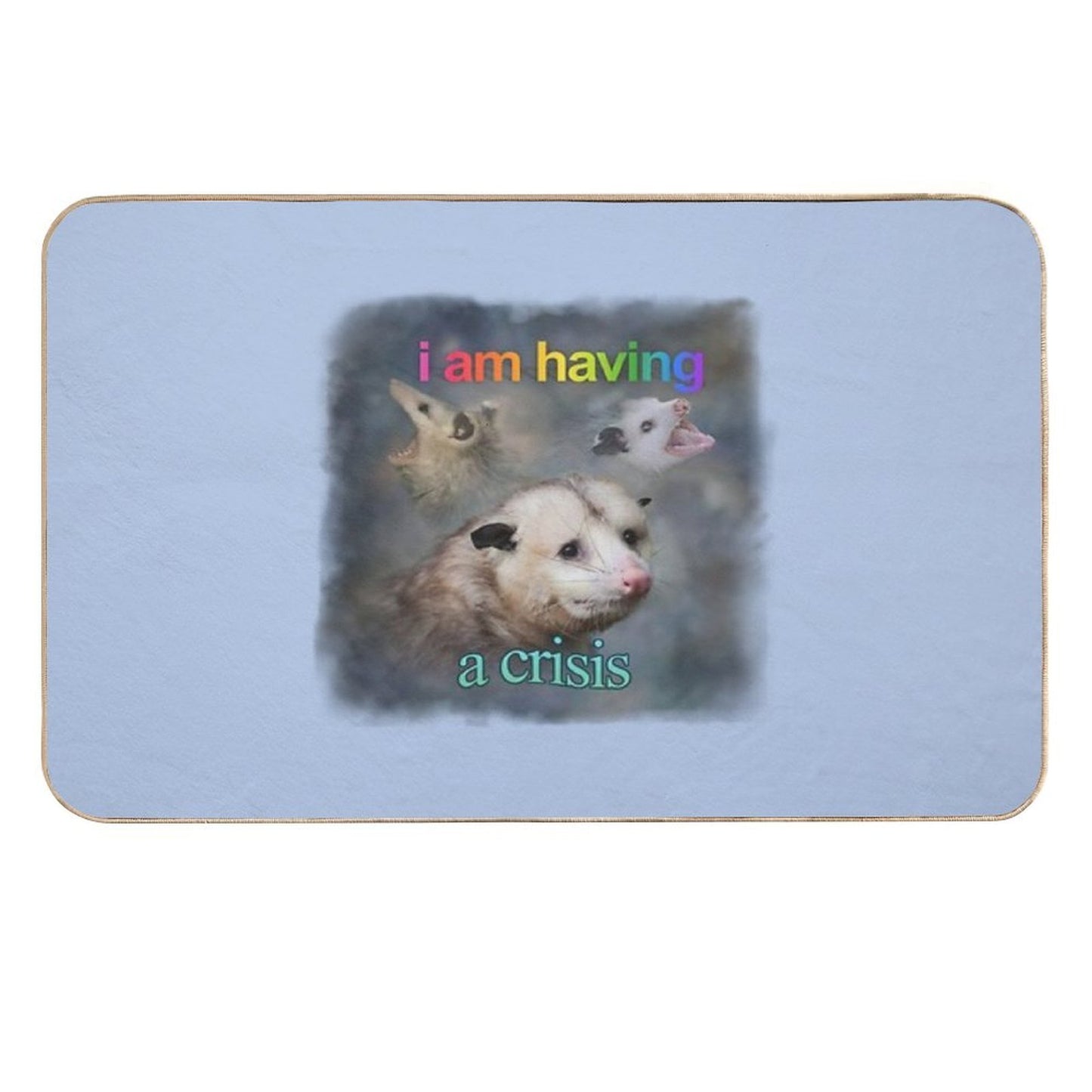 I Am Having A Crisis Possum Word Art  Repositionable Bath Mat