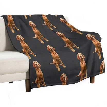Wirehaired Vizsla - Stunning Dog! Wrinkle-free Throw Blanket